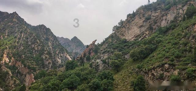 【两会·力量】吴国邦代表：念好“养牛经”当好“牛司令”